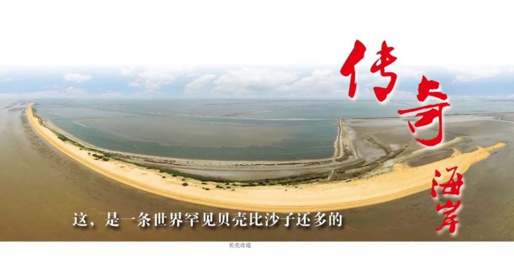 无棣贝壳堤岛“拥而不挤”，这个五一给了文明旅游一个完美的诠释