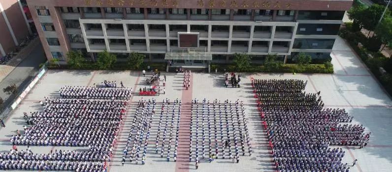 无棣县第一实验小学举行一年级少先队员入队仪式
