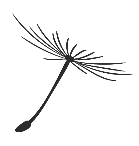 无棣县开展“万名大学生进滨州、百名硕博士进事业单位”暨暑期公益实习生工作启动仪式