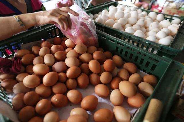 蛋鸡产蛋期违法添加氟苯尼考，被检察院起诉！