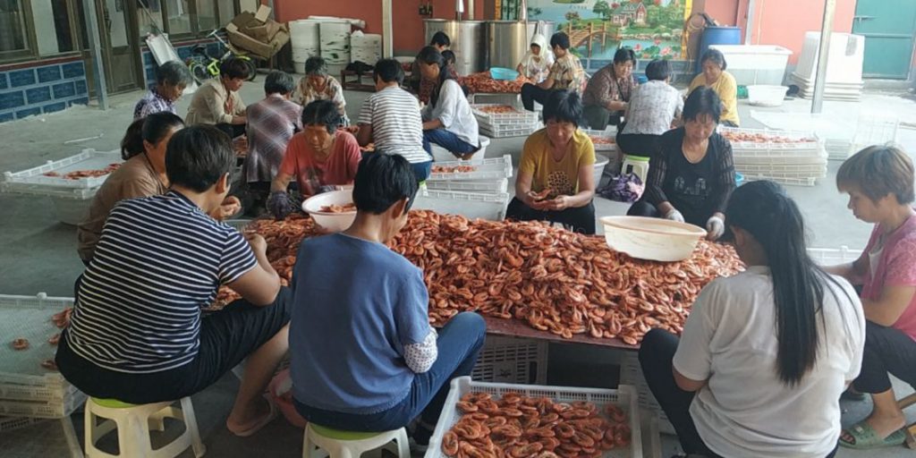 无棣特色烤虾唱响致富经