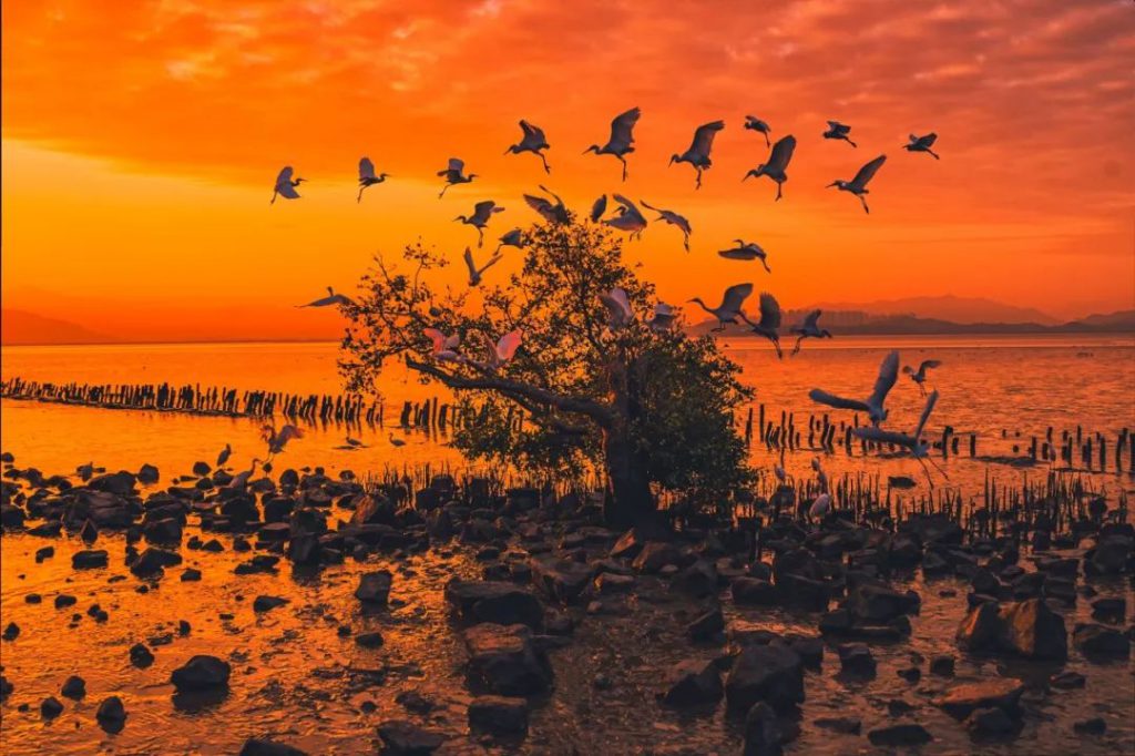 32条噎人段子,看完整个人精神多了