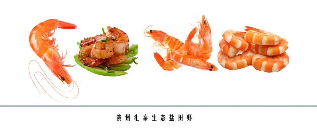 9月21日:2020首届中国 • 滨州汇泰盐田虾文旅节盛大开幕