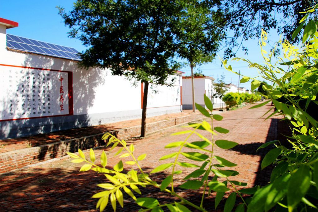 山东故事｜滨州市无棣县碣石山镇馆里村：培育村庄主导产业 推进美丽乡村建设