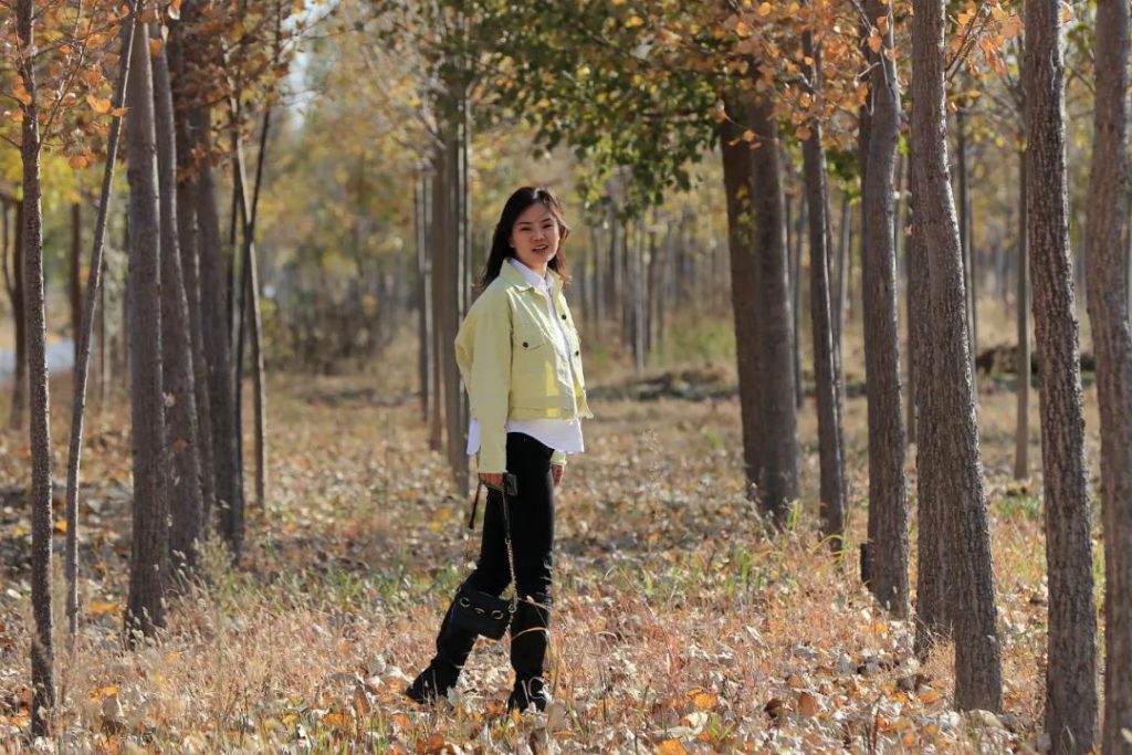 在无棣有一种美，叫秋天的芦苇