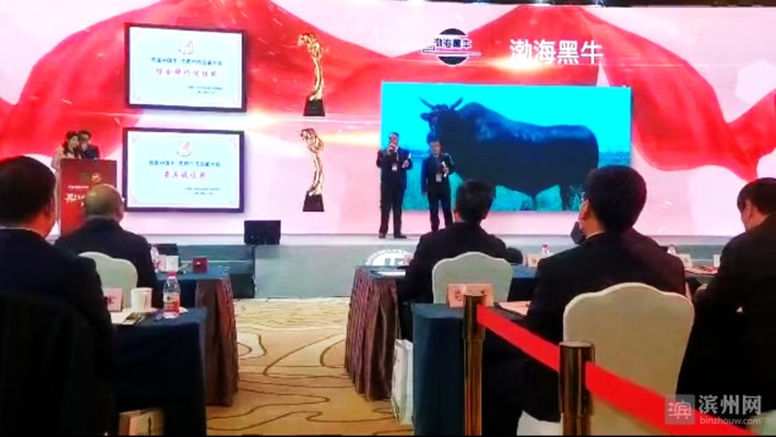 牛！无棣渤海黑牛在首届中国牛•优质牛肉品鉴大会上夺冠