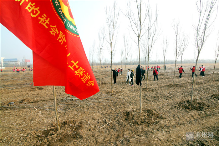 无棣县举行2021年全民义务植树活动
