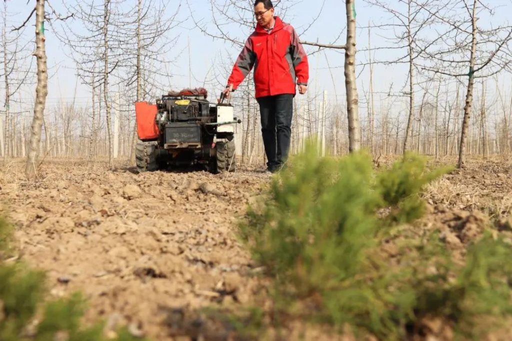 农田和现代化大棚里呈现出一幅幅美丽的春耕场景