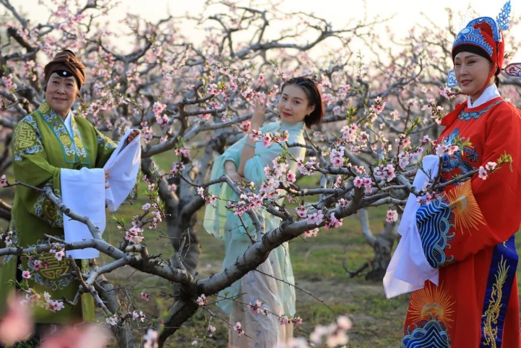 人间四月芳菲尽,碣石桃花始盛开