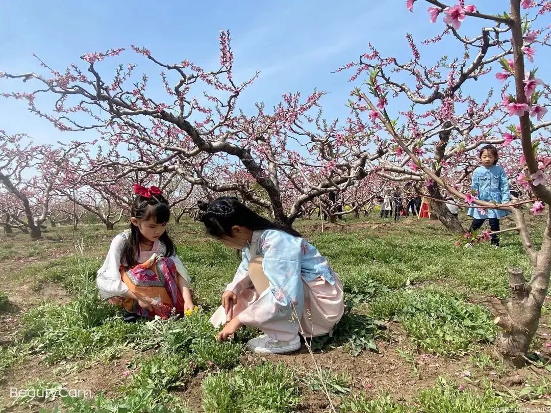 “春天有你，与爱相伴”碣石山镇古家幼儿园桃花节写生活动