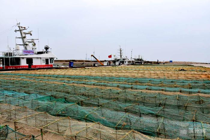 无棣集中销毁禁用渔具 打击海上违法违规生产行为