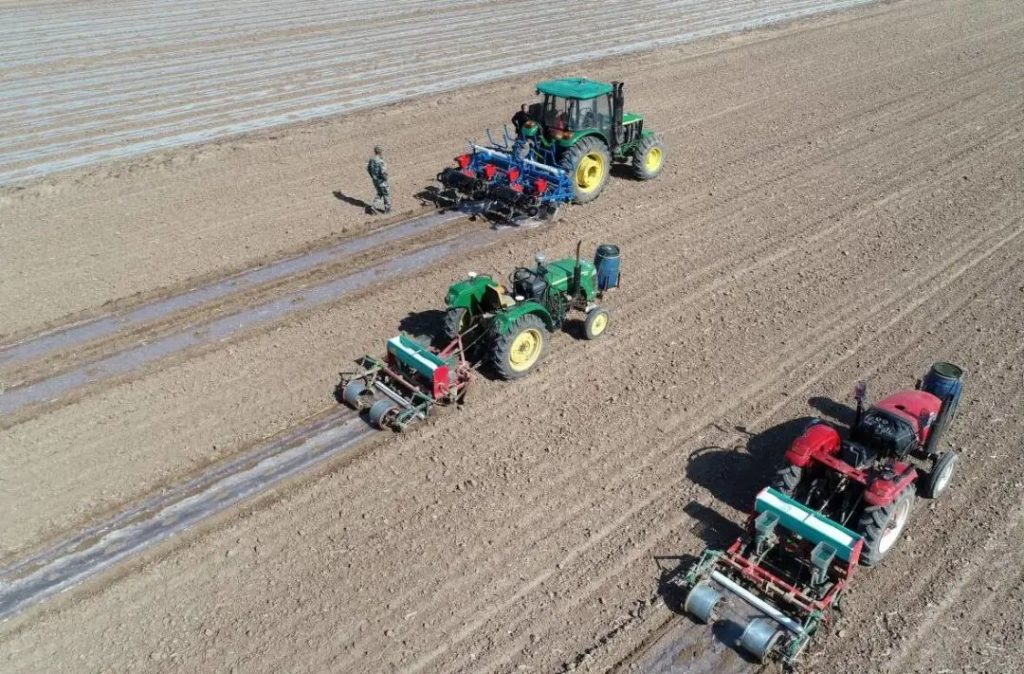 无棣县西小王镇入选首批国家农业产业强镇