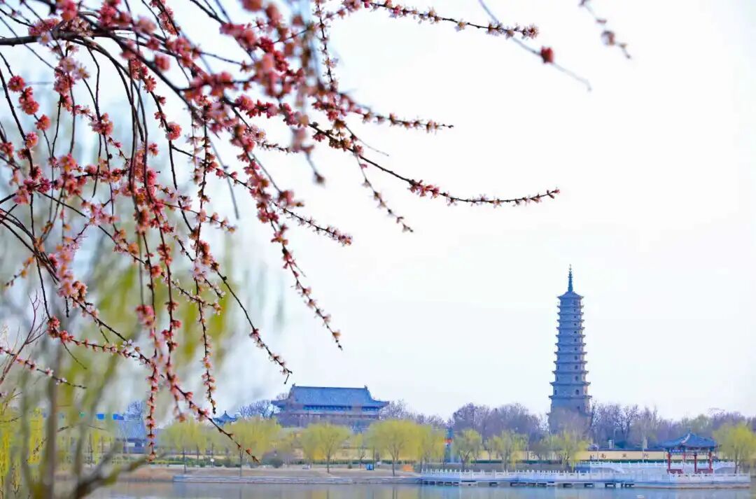 我在无棣古城等你(歌词) 我在无棣古城等你(歌词)