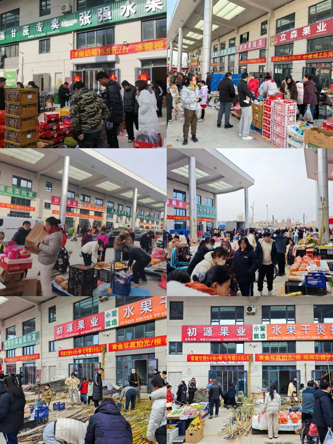 无棣农博城 无棣农博城