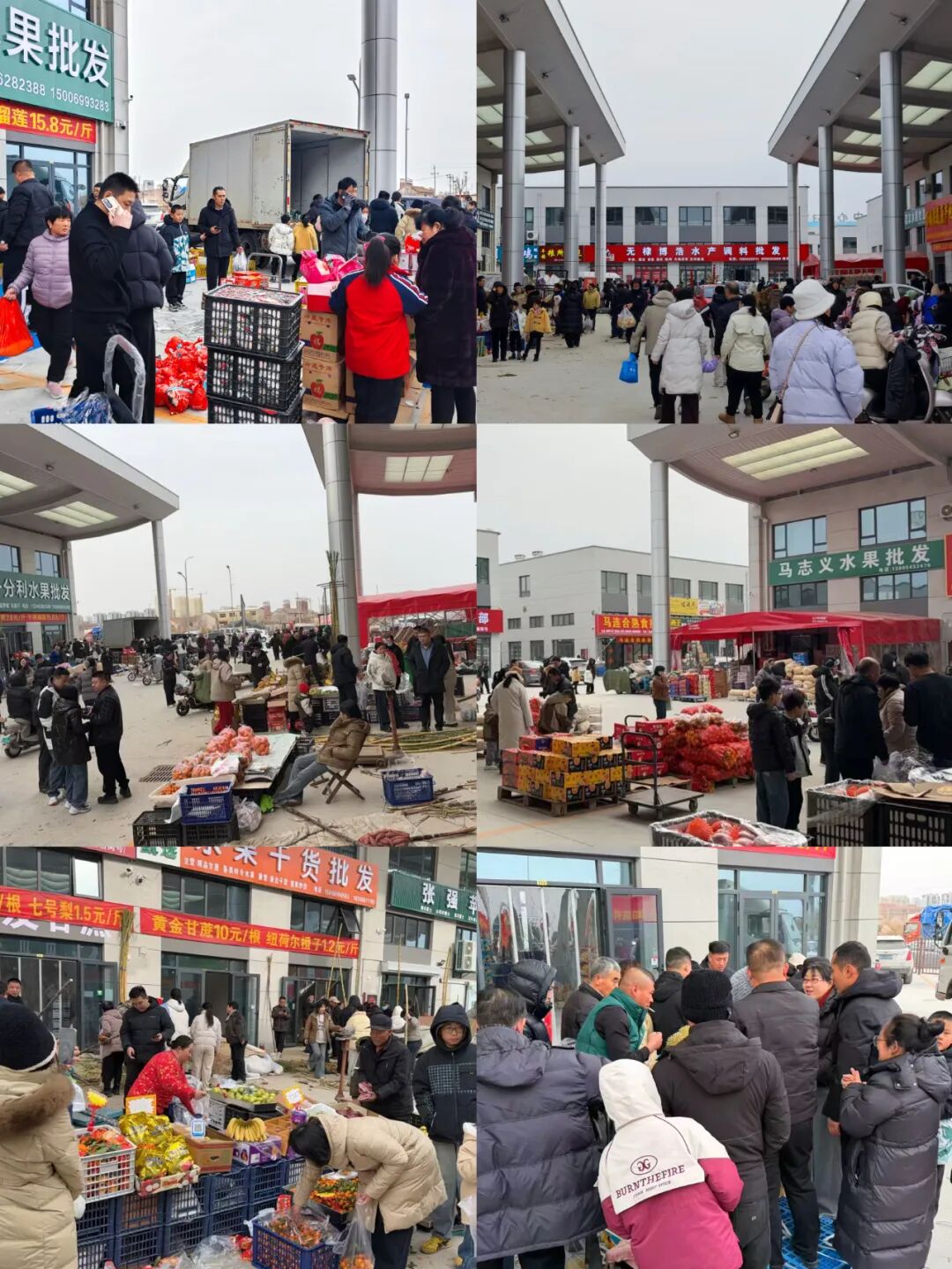 无棣农博城 无棣农博城