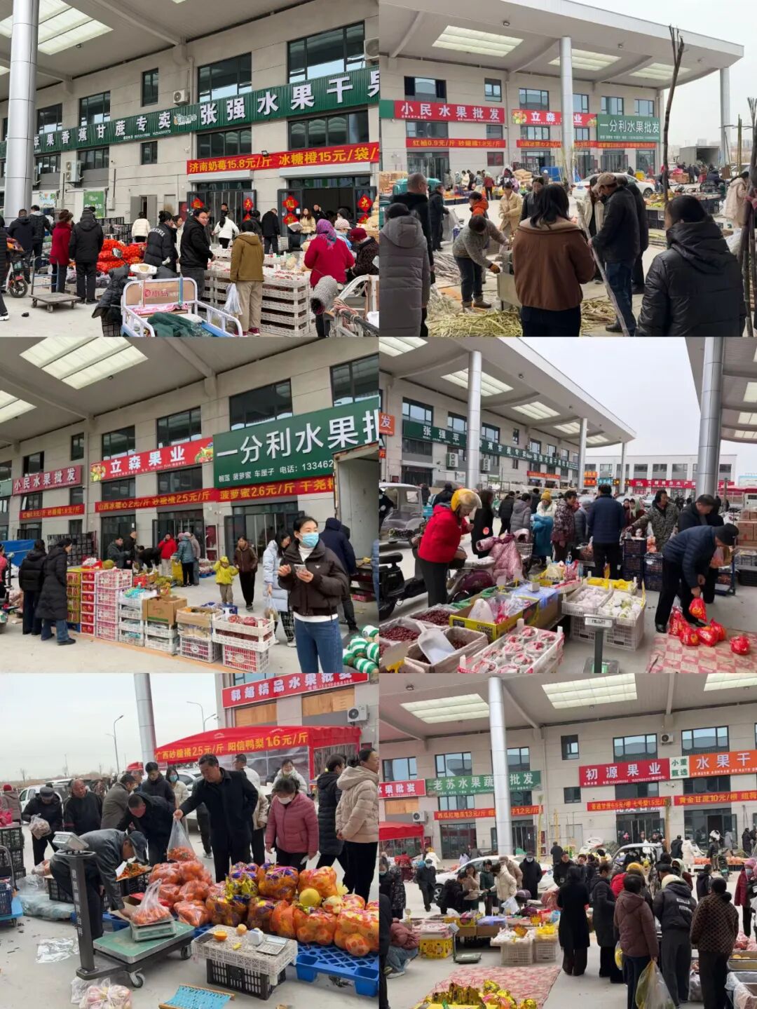 无棣农博城 无棣农博城