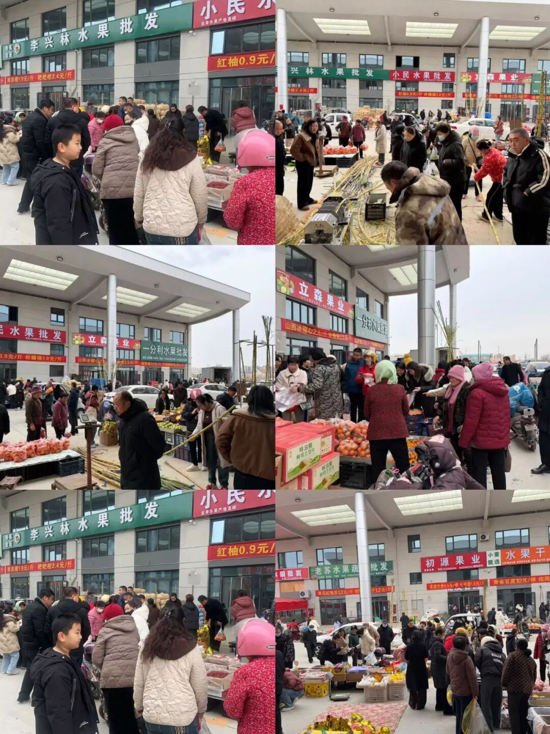 无棣农博城 无棣农博城