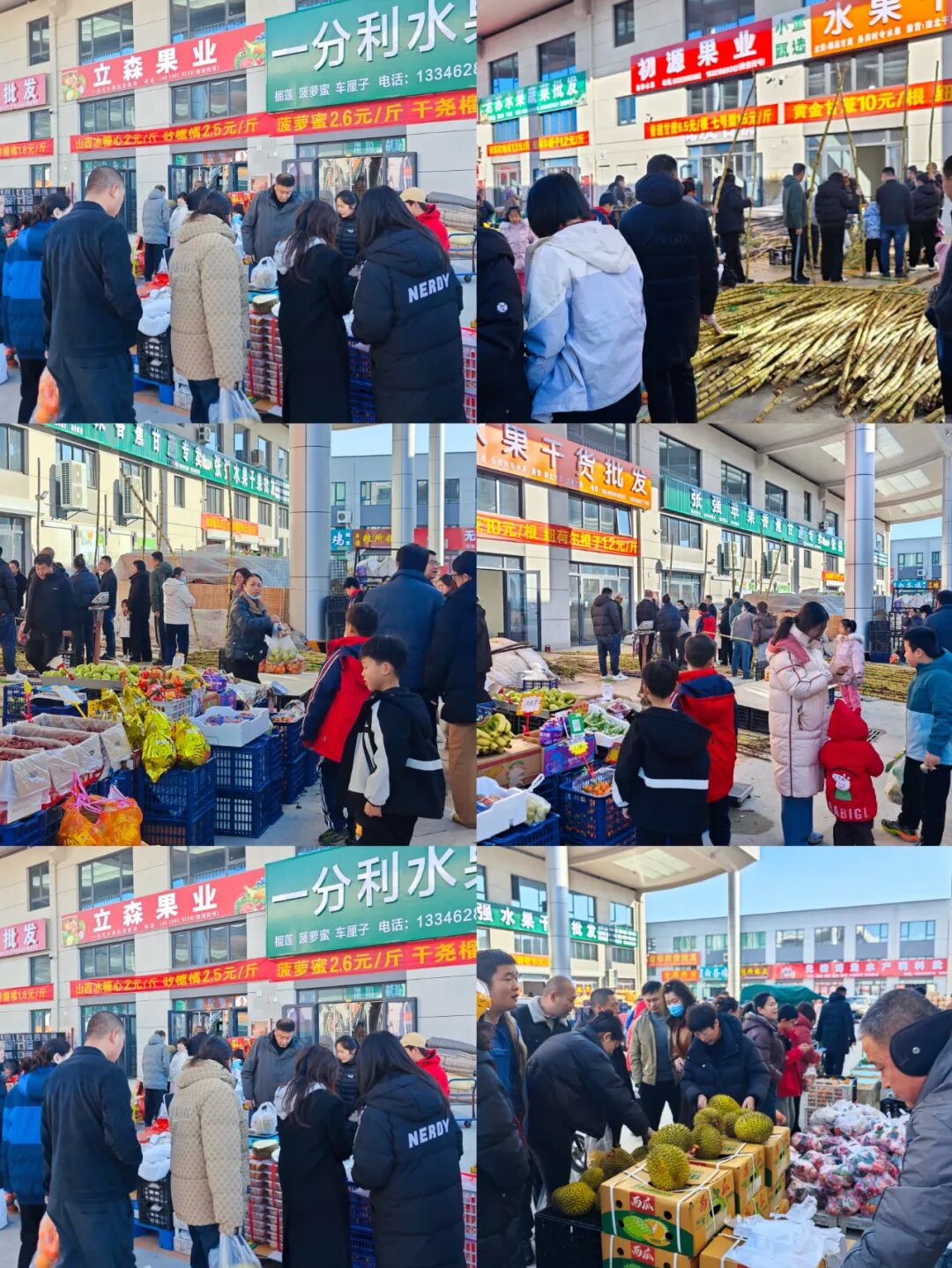 无棣农博城 无棣农博城