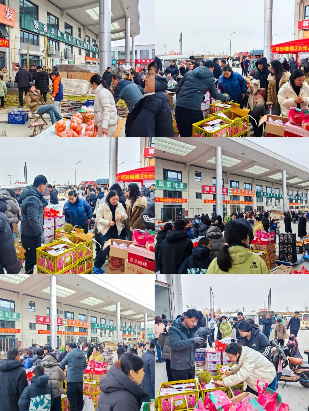 无棣农博城"果"然心动水果狂欢圆满收官!万人抢购!商户爆单!