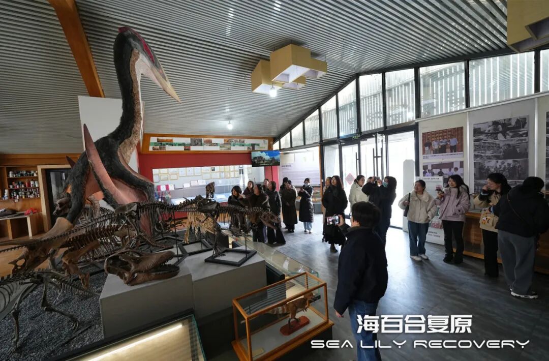 海百合接待无棣县“三八”妇女节参观学习活动