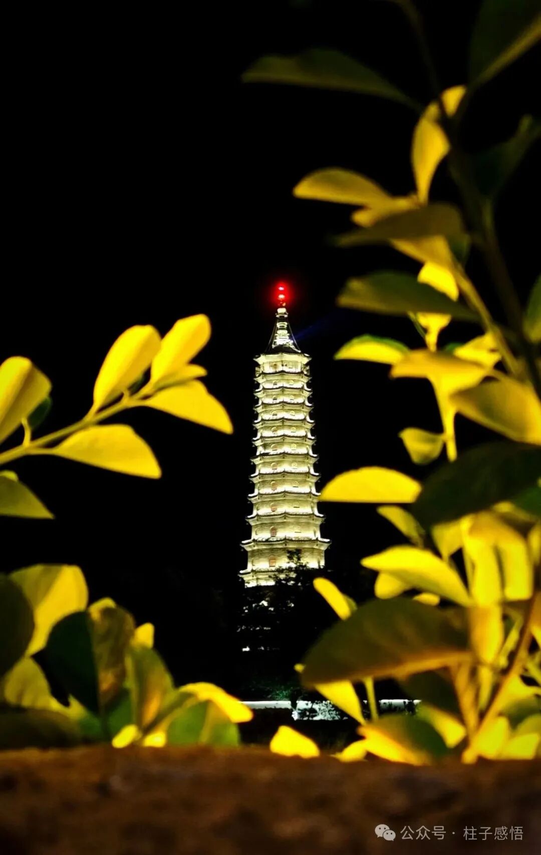 惊不惊喜?无棣古城文化旅游区被国家评为了“首批精选美丽中国打卡点”