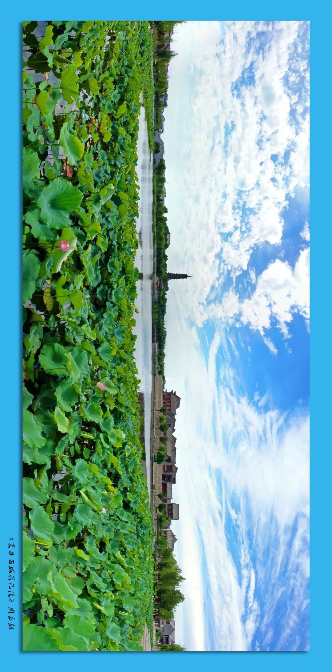 无棣县摄影家协会协会特推出会员古城主题摄影作品合集 无棣县摄影家协会协会特推出会员古城主题摄影作品合集