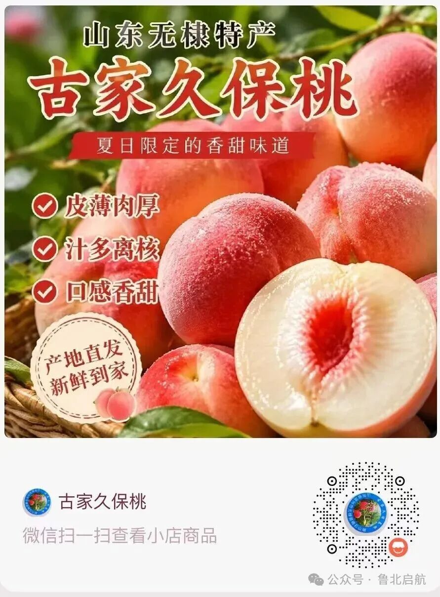 碣石山镇千亩古家久保桃甜蜜上市啦! 碣石山镇千亩古家久保桃甜蜜上市啦!