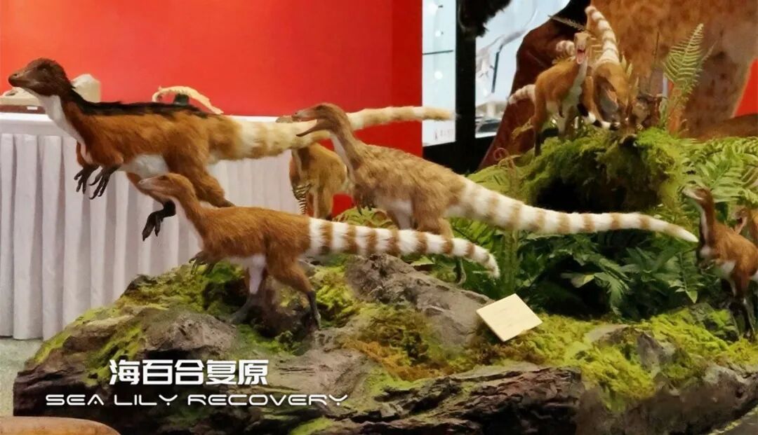 在首届中国古生物复原大赛斩获多项大奖! 在首届中国古生物复原大赛斩获多项大奖!