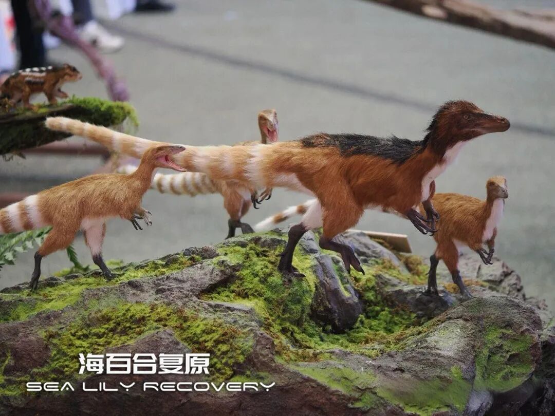 在首届中国古生物复原大赛斩获多项大奖! 在首届中国古生物复原大赛斩获多项大奖!