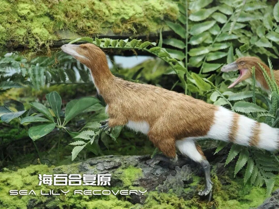 在首届中国古生物复原大赛斩获多项大奖! 在首届中国古生物复原大赛斩获多项大奖!