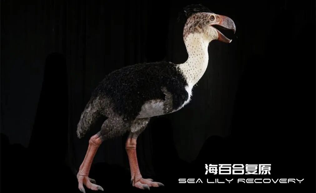 在首届中国古生物复原大赛斩获多项大奖! 在首届中国古生物复原大赛斩获多项大奖!