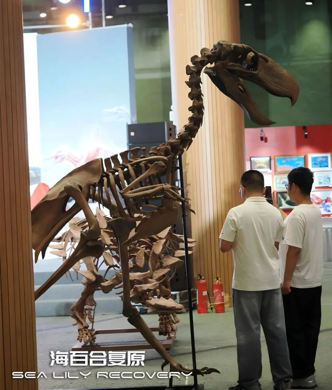 在首届中国古生物复原大赛斩获多项大奖! 在首届中国古生物复原大赛斩获多项大奖!
