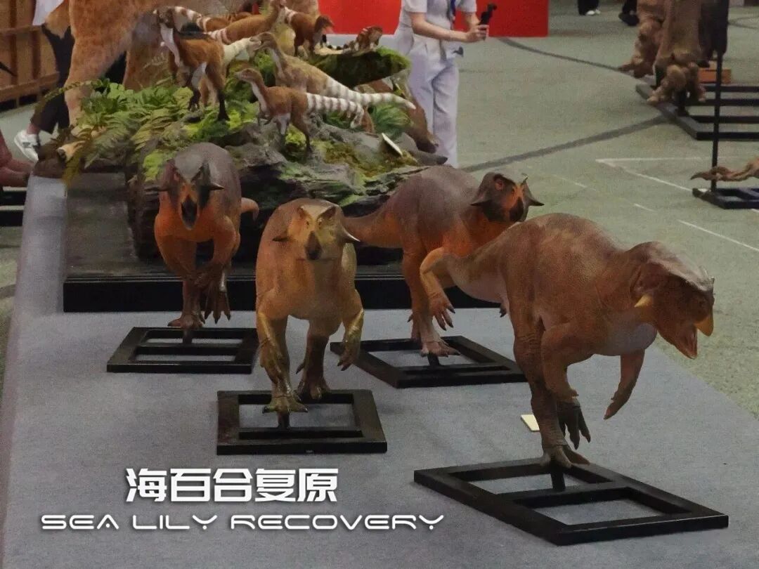 在首届中国古生物复原大赛斩获多项大奖! 在首届中国古生物复原大赛斩获多项大奖!