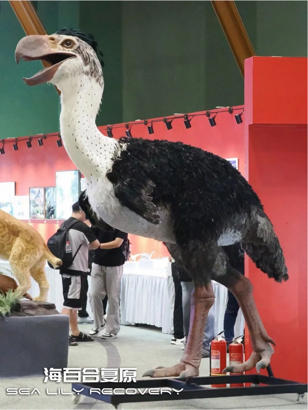 在首届中国古生物复原大赛斩获多项大奖! 在首届中国古生物复原大赛斩获多项大奖!