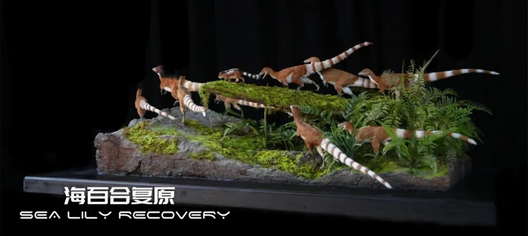 在首届中国古生物复原大赛斩获多项大奖! 在首届中国古生物复原大赛斩获多项大奖!