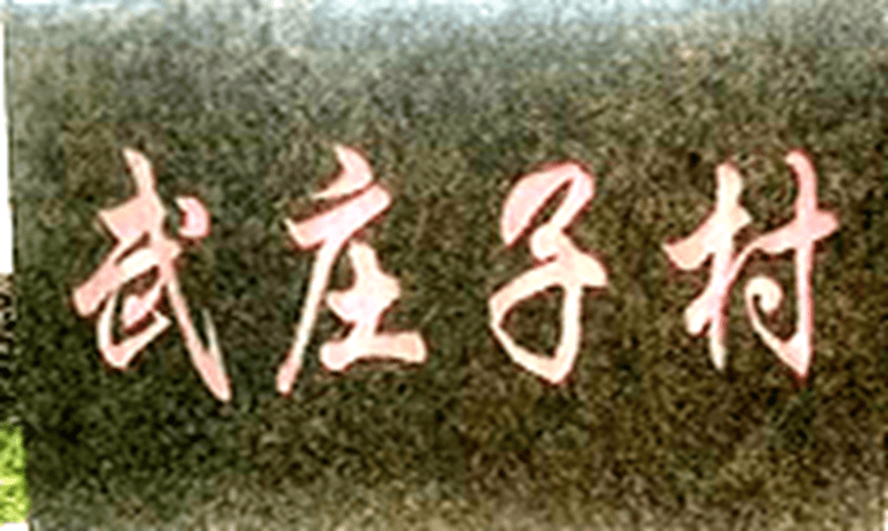 美丽城乡行・神话传说武庄子 美丽城乡行・神话传说武庄子