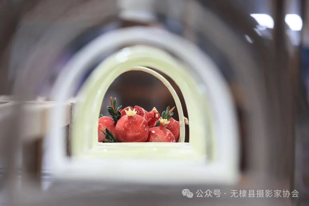 无棣县摄影家协会开展主题创作采风活动 无棣县摄影家协会开展主题创作采风活动
