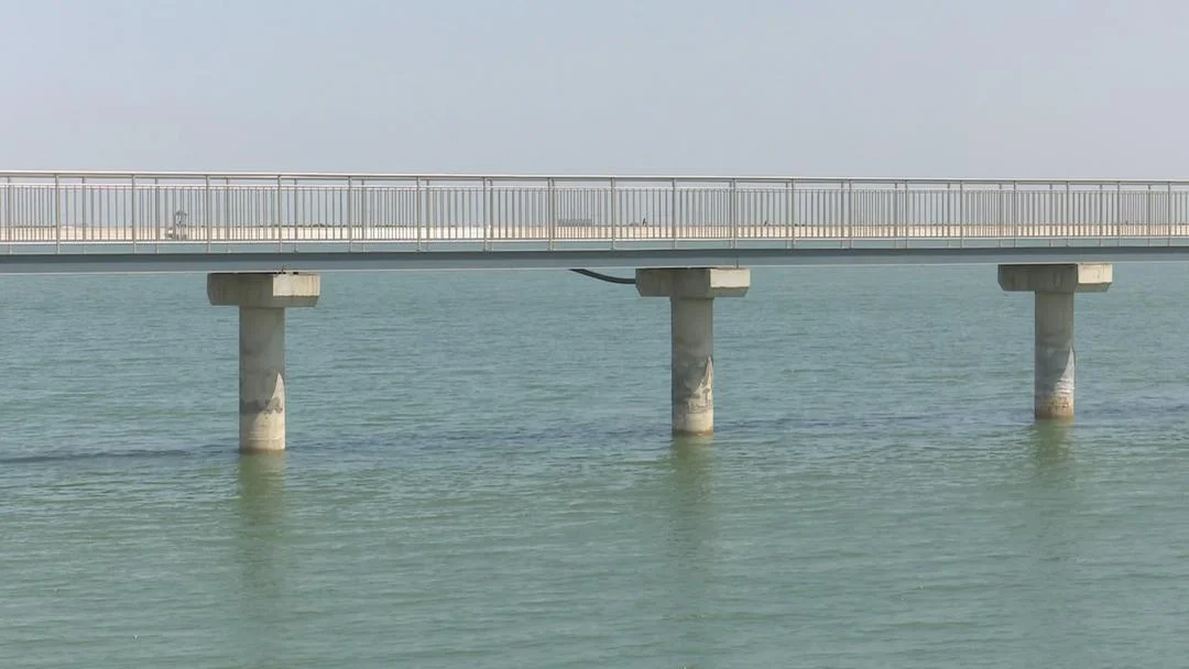 用无棣渤海湾的海水啤酒