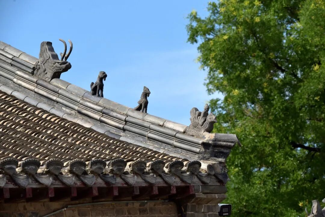 无棣古城采风图片欣赏,作者:郑 无棣古城采风图片欣赏,作者:郑